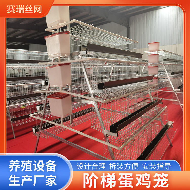 鸡舍四层五门阶梯蛋鸡笼 养鸡场梯形蛋鸡笼 养殖场鸡鸭养殖笼