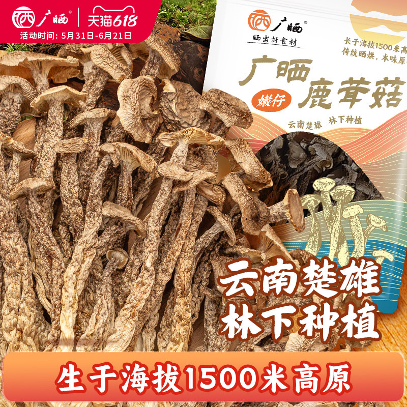 广晒正宗云南高山鹿茸菇干货特级小嫩仔优质特一级特产级干菜