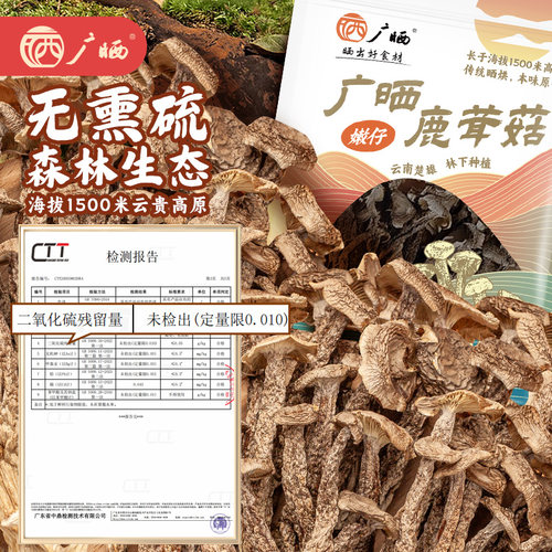 广晒正宗云南高山鹿茸菇干货