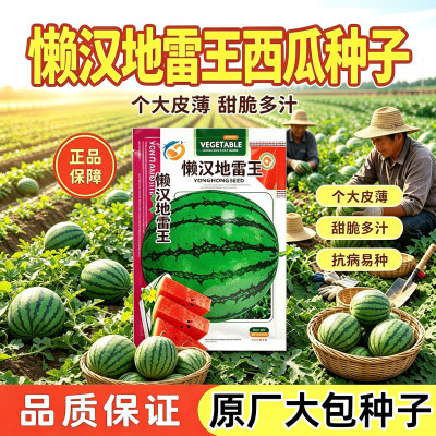 懒汉地雷王西瓜种子种籽盆栽庭院田园种种子大全美都秧苗麒麟瓜