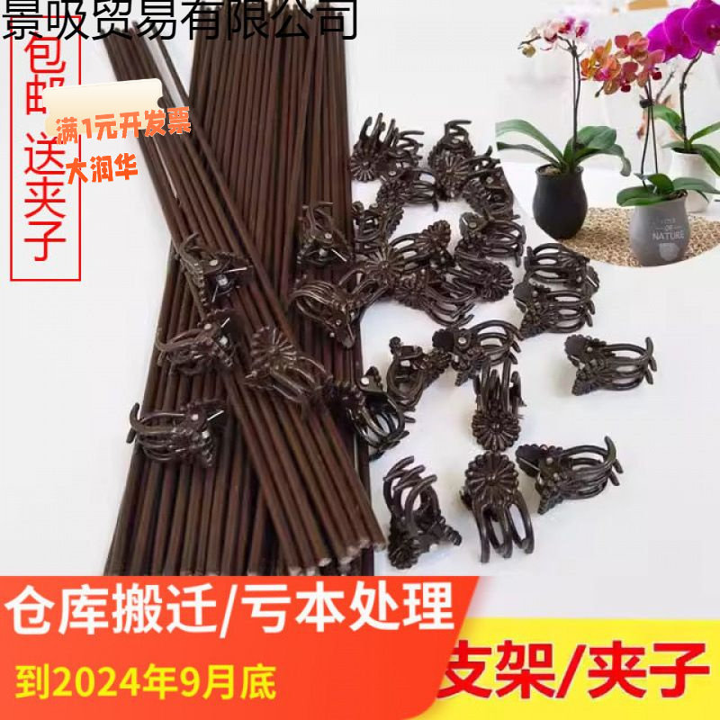褐色铁丝蝴蝶兰花支架兰夹子支撑