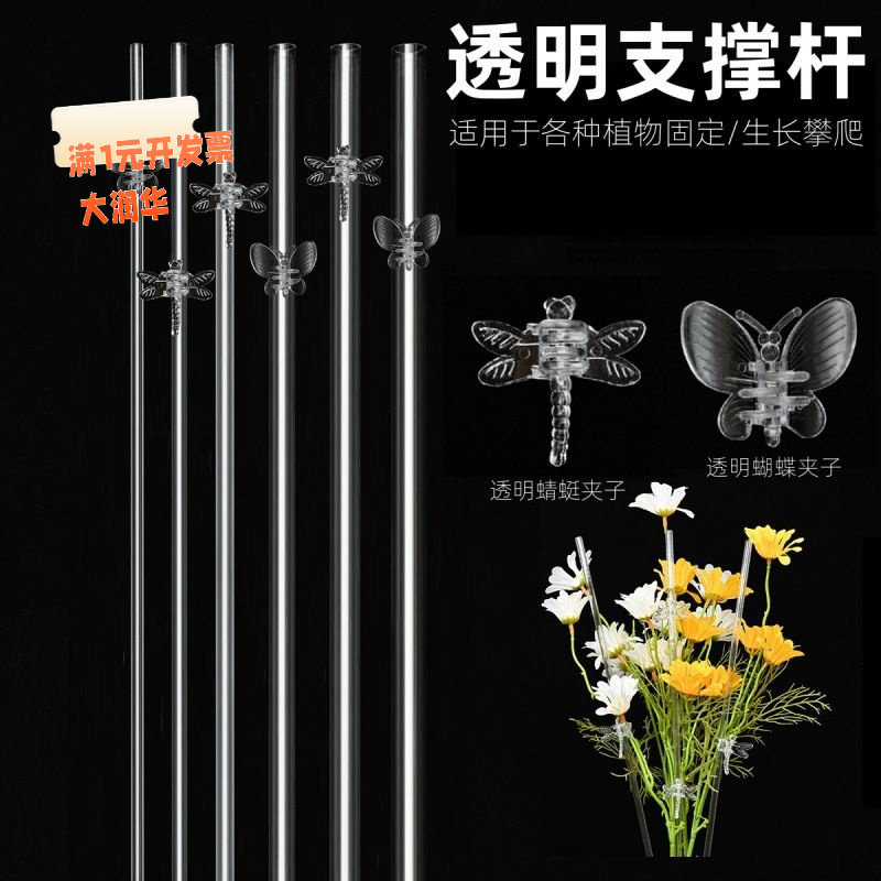 蝴蝶兰透明支架杆支撑管子植物固