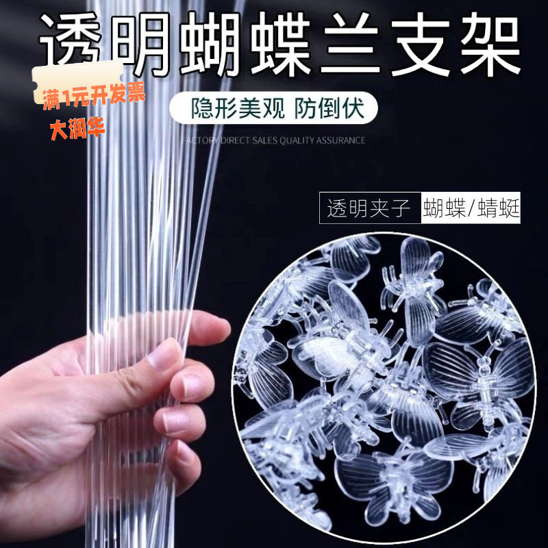 兰花植物固定杆支架管子花卉防倒