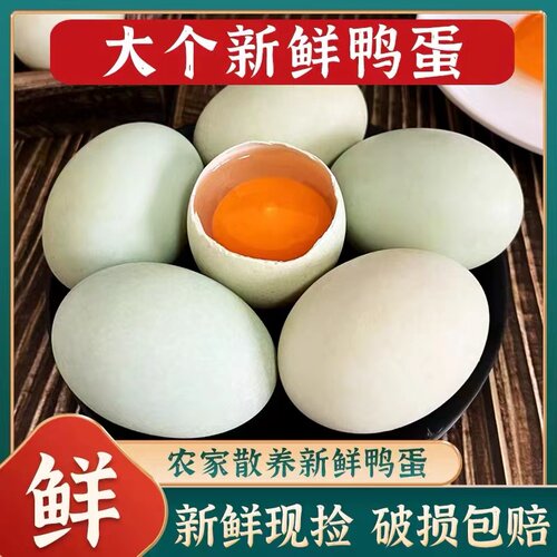 农家新鲜大鸭蛋60-70g破损包赔