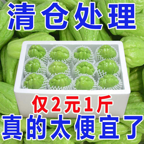 云南特产佛手瓜2元1斤现摘现发