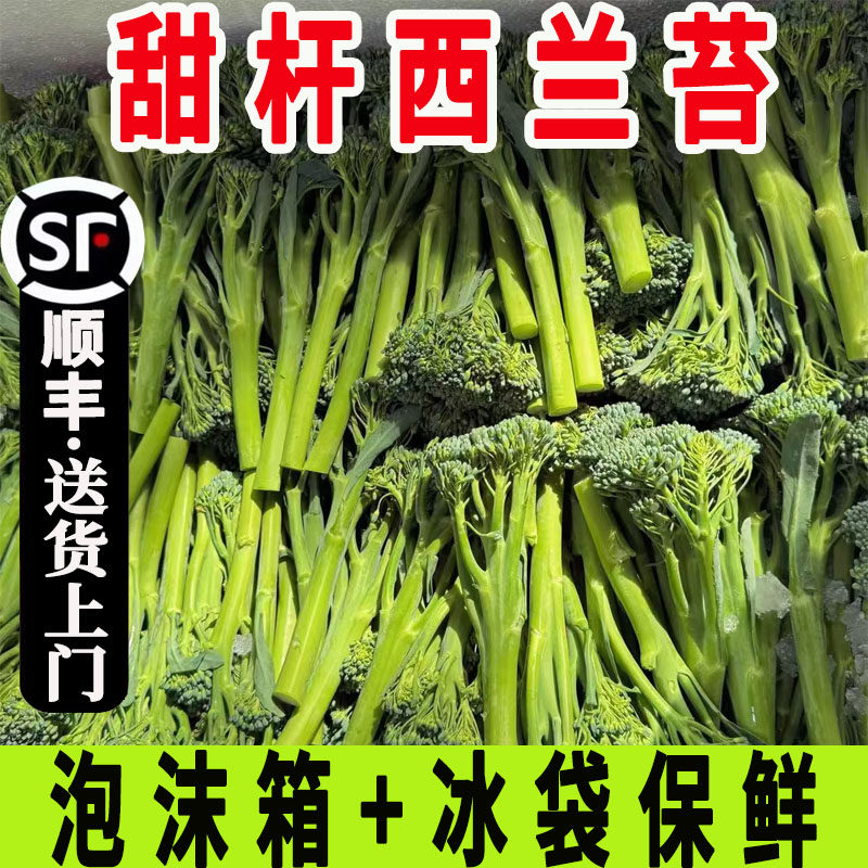 现摘甜杆西兰苔新鲜有机青花苔小西兰花菜苔非芥兰菜当季时令蔬菜,水产肉类/新鲜蔬果/熟食,西兰花/花菜,淘宝优惠券,粉丝福利购,淘宝优惠卷