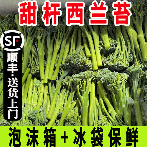 新鲜现摘甜杆西兰苔顺丰冷链包邮