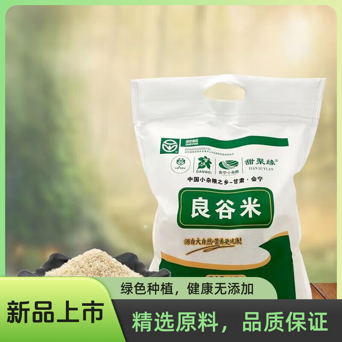 甜聚缘会宁特产月子小米2.5kg