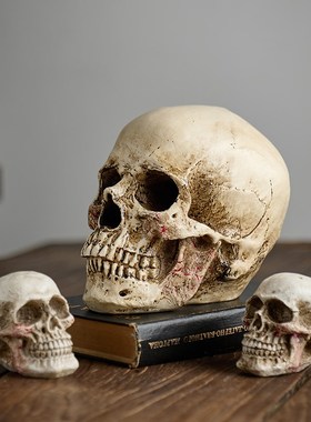 速发头模骨型可拆卸颅骨圣节骷具美术素描教学复古道髅头摆件