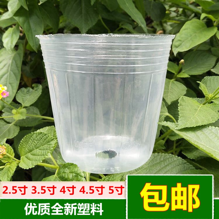 速发蝴蝶兰营用兰养杯种植杯营花栽培花盆石斛兰育苗透明塑料盆专