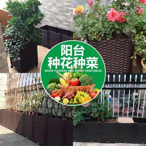 速发特深65高家庭台种植大户外花形室内种菜盆长方箱箱花盆花槽树