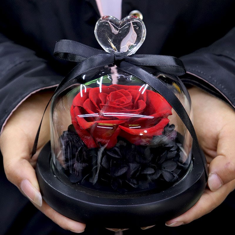 速发永生节小爱心玻璃诞桃心小钟罩玫瑰花情人花214圣罩母亲节伴