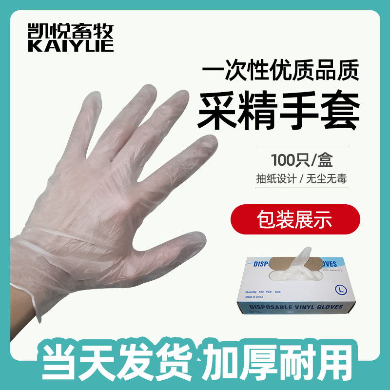 速发次用一查性采精手套人工授精猪采精检兽加厚乳胶无粉无尘手套