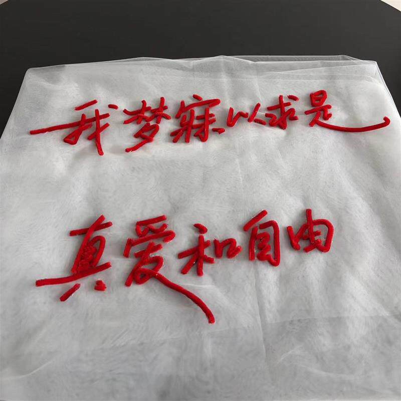 速发头纱领证拍照道具红毛线粘字创意婚纱照红字白纱结婚外景海景