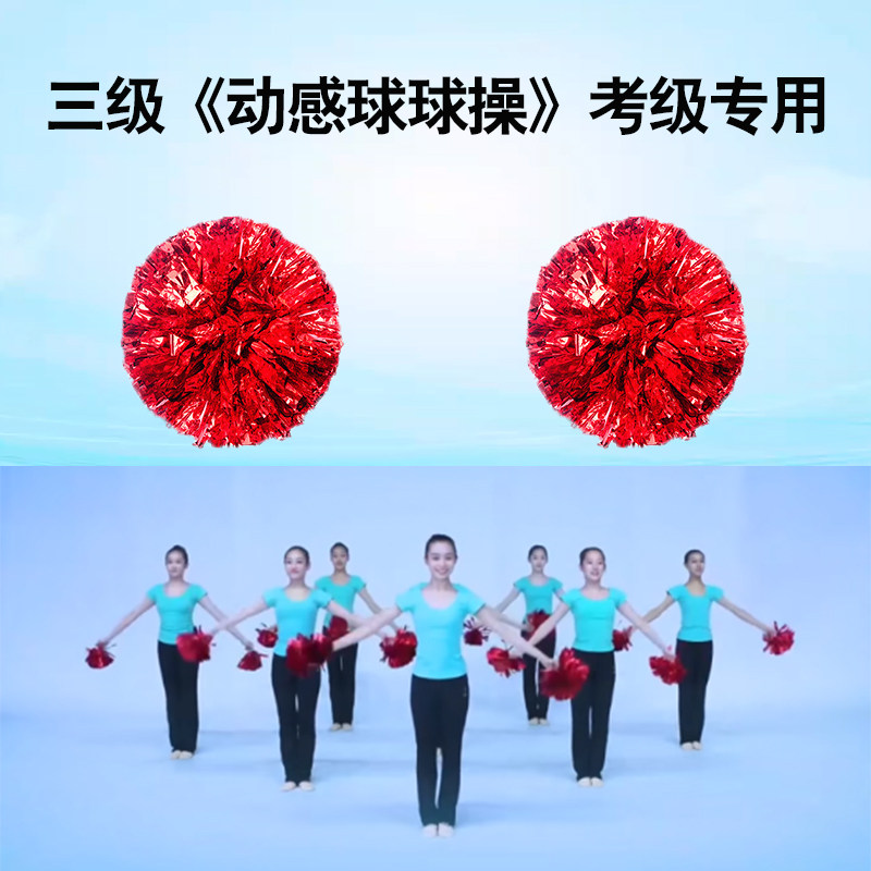 速发考级球用花球手拿花儿童三级动感运球操专动会开场舞花球演出