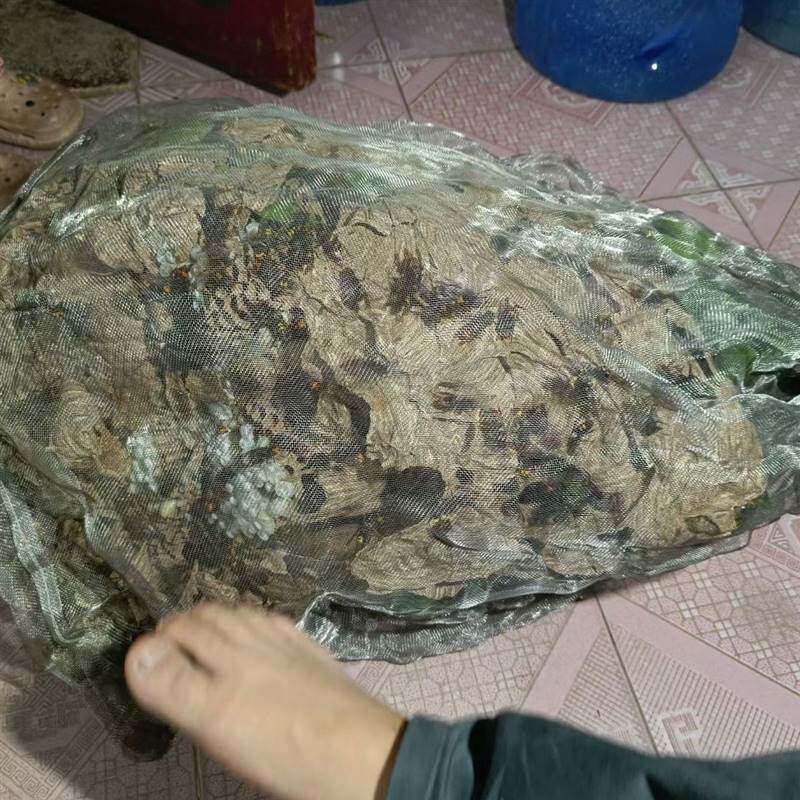 速发收蜂窝袋子马蜂袋不锈钢网袋收蜂袋装马蜂工具收蜂马蜂304不