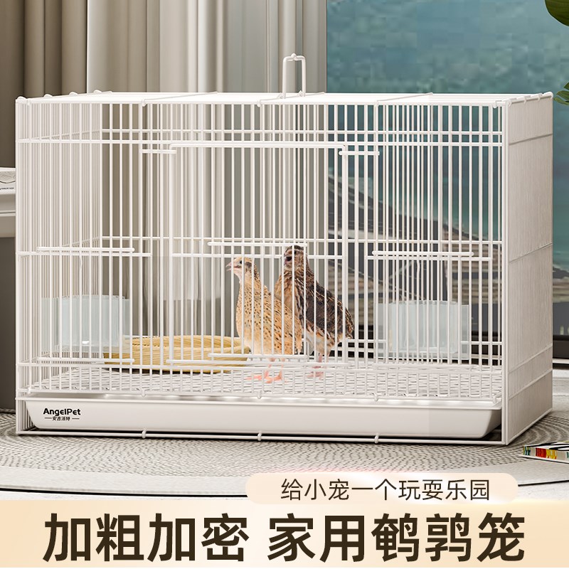 速发鹌鹌笼子家用养殖窝鹑笼下蛋笼子饲养活苗的笼子鹑饲养箱