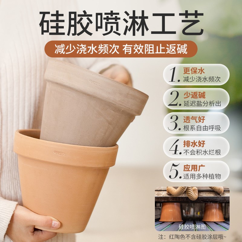速发虹越陶盆经际盆粗陶透种国典宽边白陶花盆气植盆红陶简约