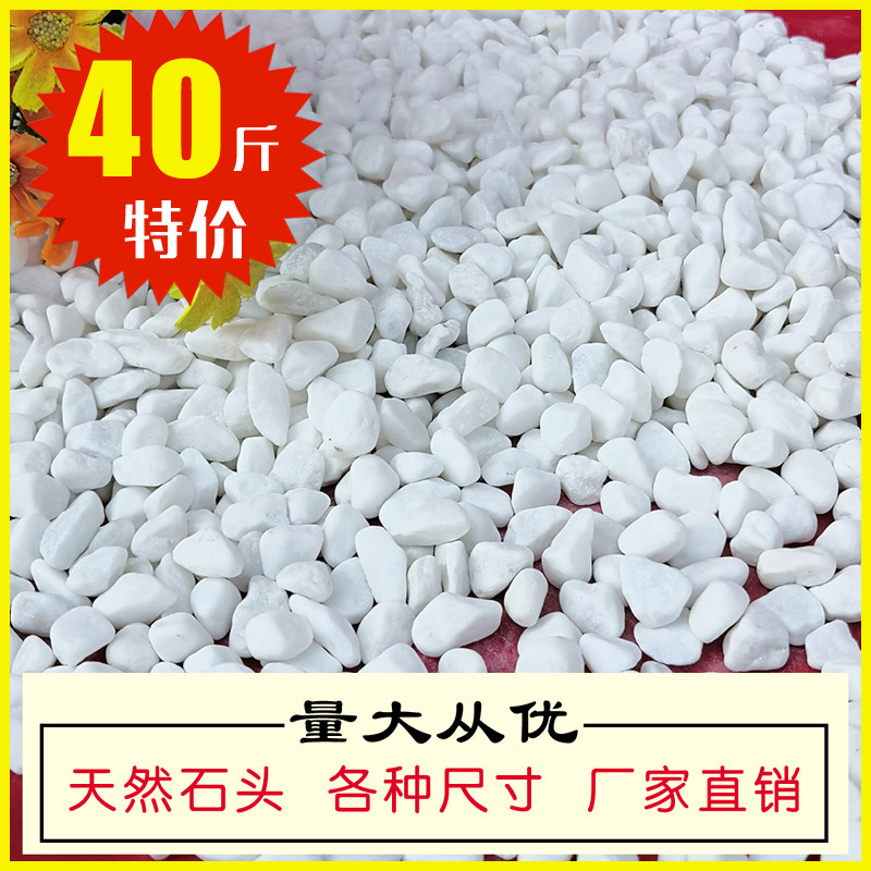 速发白石子庭院肉观铺路色卵石鱼缸多景盆栽铺面装饰白鹅大小石头