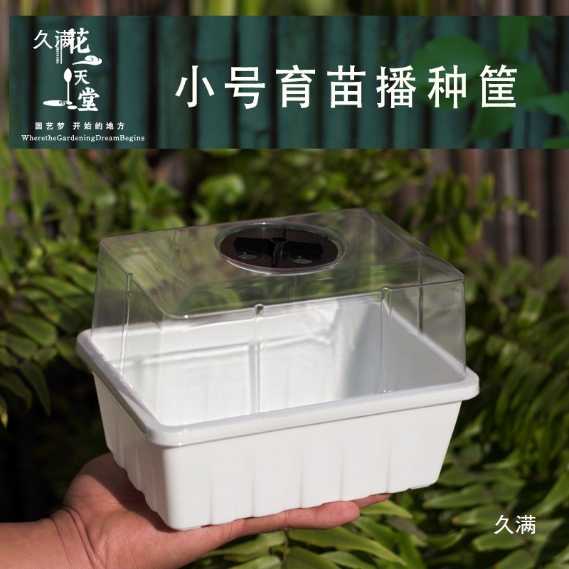 速发养厚塑料小号育苗盘筐肉锥生石花多肉长盆花卉种菜育苗播蔬闷
