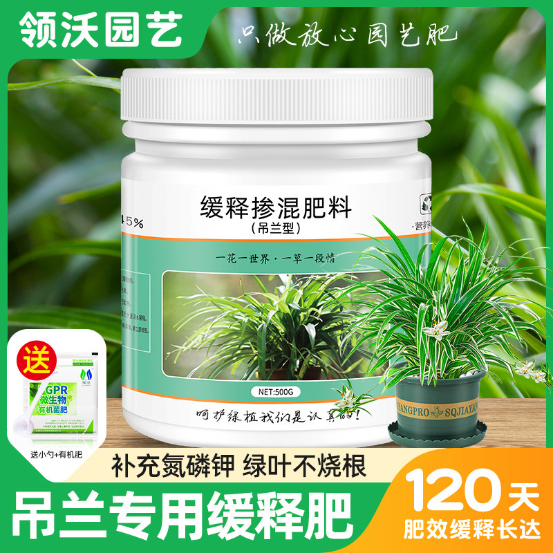 速发吊兰专盆缓释肥控释颗粒家用金边养花肥料家庭园艺用栽植物用