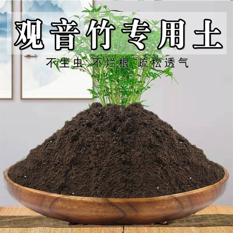 速发观音竹土竹子类盆栽营绿土透气养植种植土肥料土酸性泥土