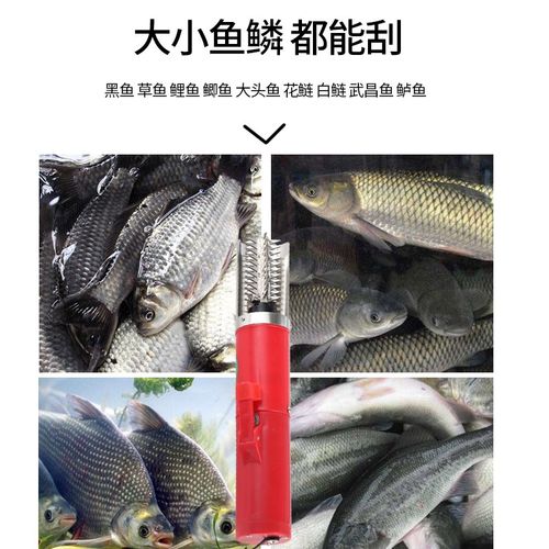 速发渔机乐鱼公乐充电式冲电刮鳞机包鱼器杀鱼公杀邮充电式刮鱼鳞