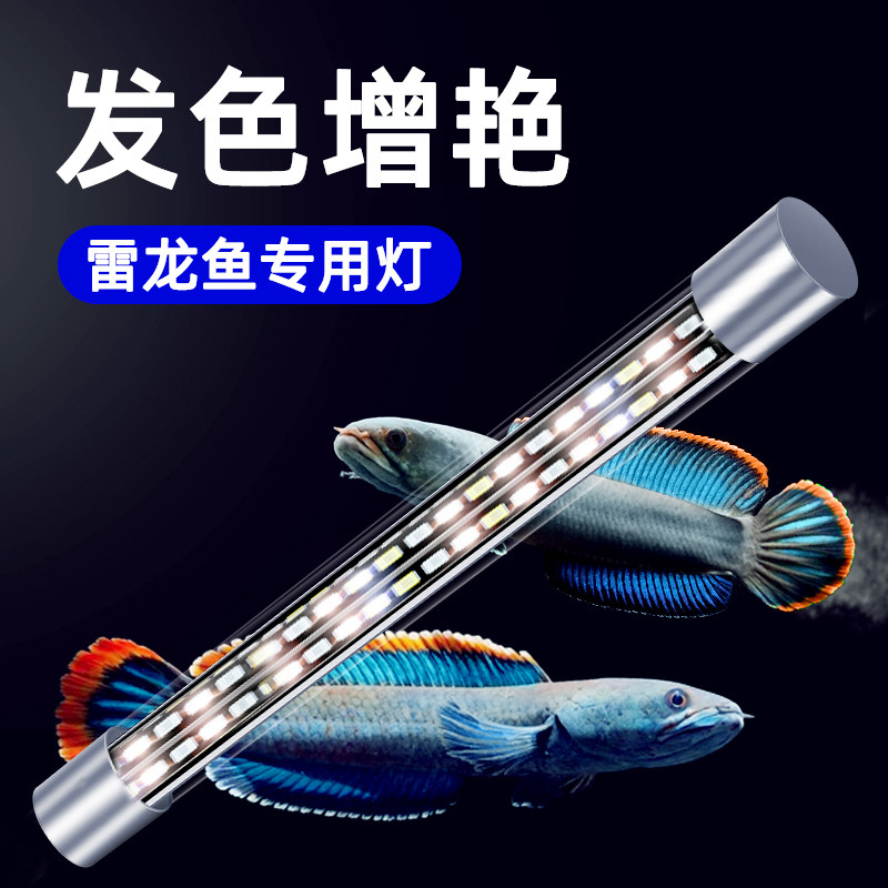 速发草虹雷龙鱼鱼缸防水潜水灯照明观赏水彩族管水灯增艳
