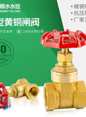 加厚PPR双活接铜闸阀内螺纹自来水开关表前阀水管阀门dn15 4分6分