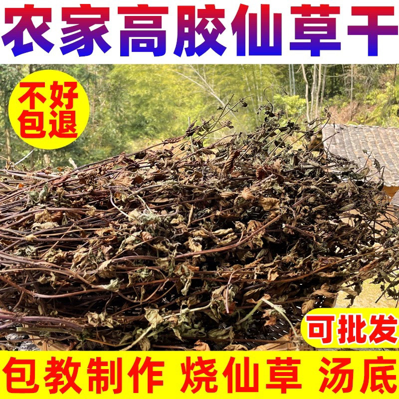 高胶质仙草全叶正宗仙人草黑凉粉草干烧仙草龟苓膏原料草粿草叶子