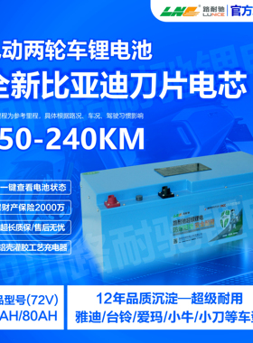 比亚迪BYD磷酸铁锂大功率大容量长续航电动两轮车专用动力锂电池
