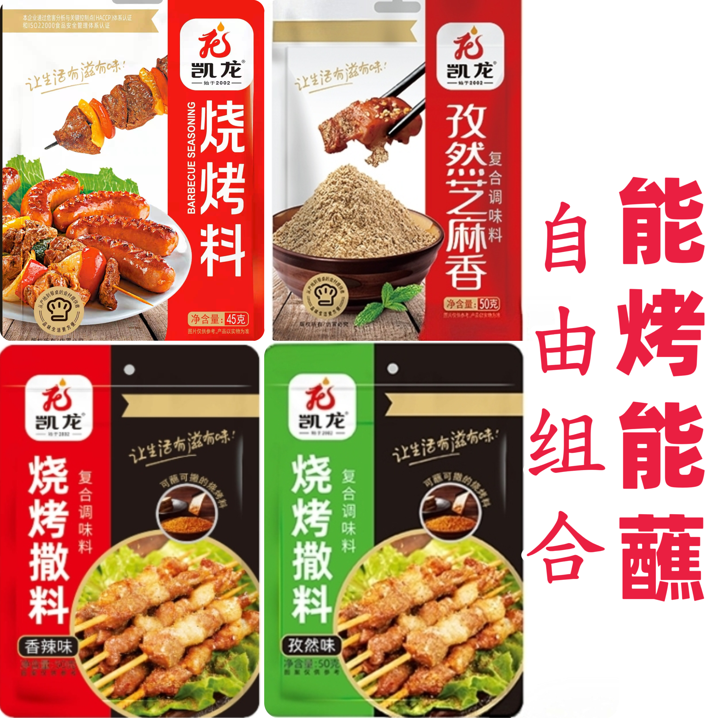 凯龙烧烤调料家用商用烤肉蘸料孜然香辣烤肉蘸料腌肉料烧烤撒料