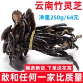 包邮 灵芝云南整枝竹灵芝深山采摘天然整枝带柄竹灵芝正品 特级250g