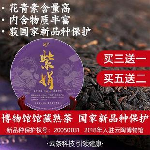 2022年云茶科技普洱茶熟茶饼母本紫娟熟茶云南茶科所研制357g紫鹃