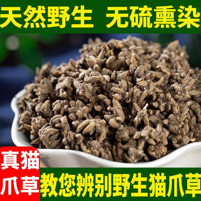 野生猫爪草中药材正品 正宗水洗猫爪草夏枯草蒲公英郁金四物散茶