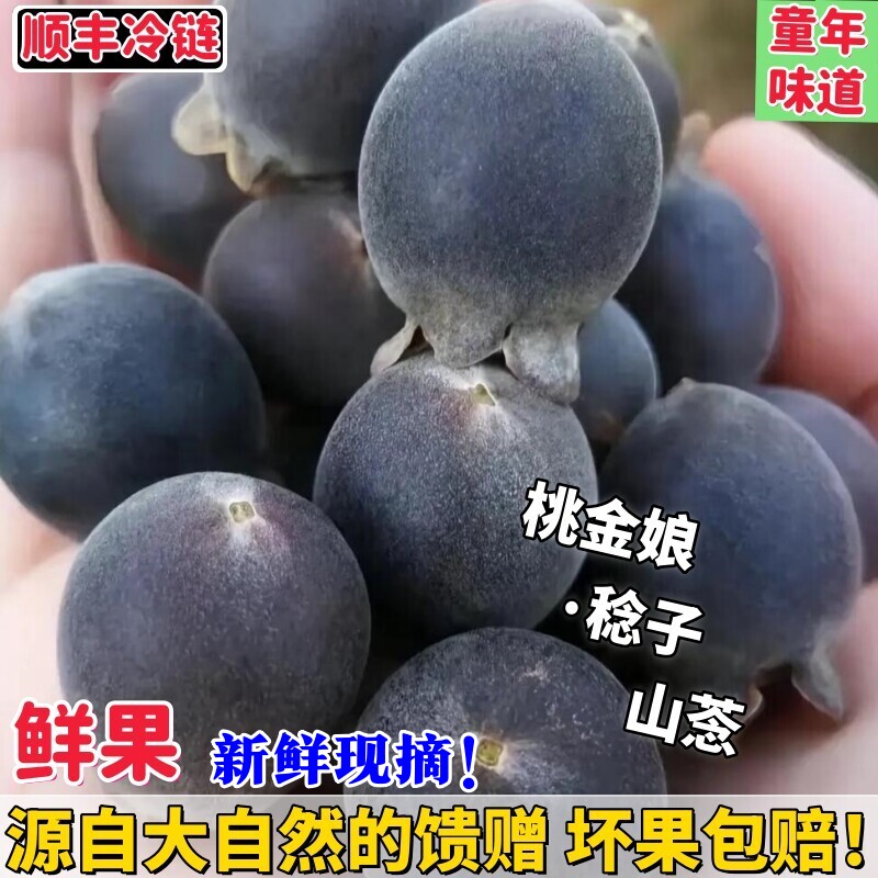 新鲜山捻子当季桃金娘鲜果岗稔子