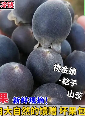 新鲜山捻子当季桃金娘鲜果岗稔子