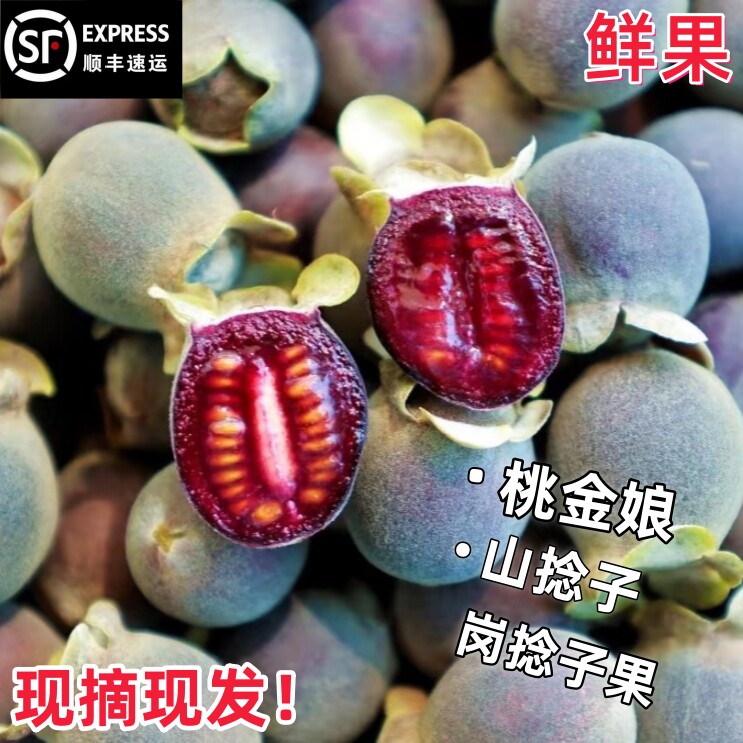 现摘现发桃金娘鲜果泡酒岗稔子果