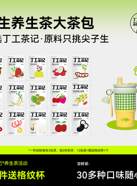 丁工茶记养生茶大茶包满5件送格纹杯茶包独立小包装袋装茶包女生