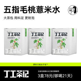 丁工茶记五指毛桃薏米水冷泡茶夏天冲泡饮品三伏天养生茶
