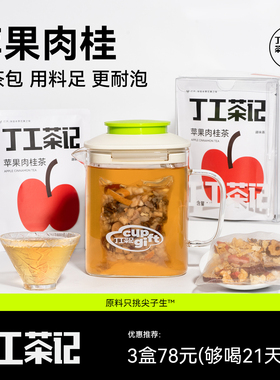 丁工茶记苹果肉桂茶适合冬天泡水喝的热饮红茶茶肉桂茶包养生茶女