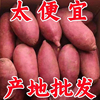 新鲜蜜薯10斤板栗红薯沙地糖心地瓜农家自种番薯现挖黄心香薯山芋