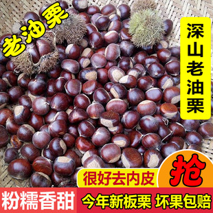 包邮 云南特产当季 现摘新鲜水果生板栗油锥迁西野小毛栗子带壳