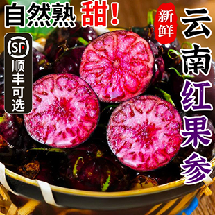 精品云南红果参蜘蛛果特大新鲜水果当季 现摘红黑果算盘果顺丰可选