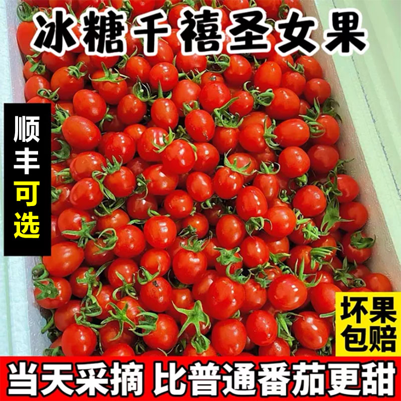 正宗冰糖玲珑小番茄千禧果3/5斤超甜小番茄圣女果冰糖小番茄纯甜R