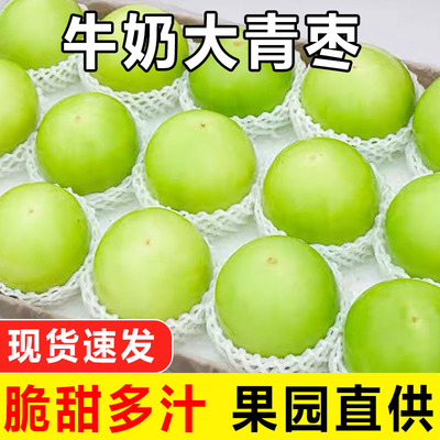福建牛奶大青枣新鲜当季现摘脆枣贵妃冬枣脆甜蜜枣农家水果包邮5