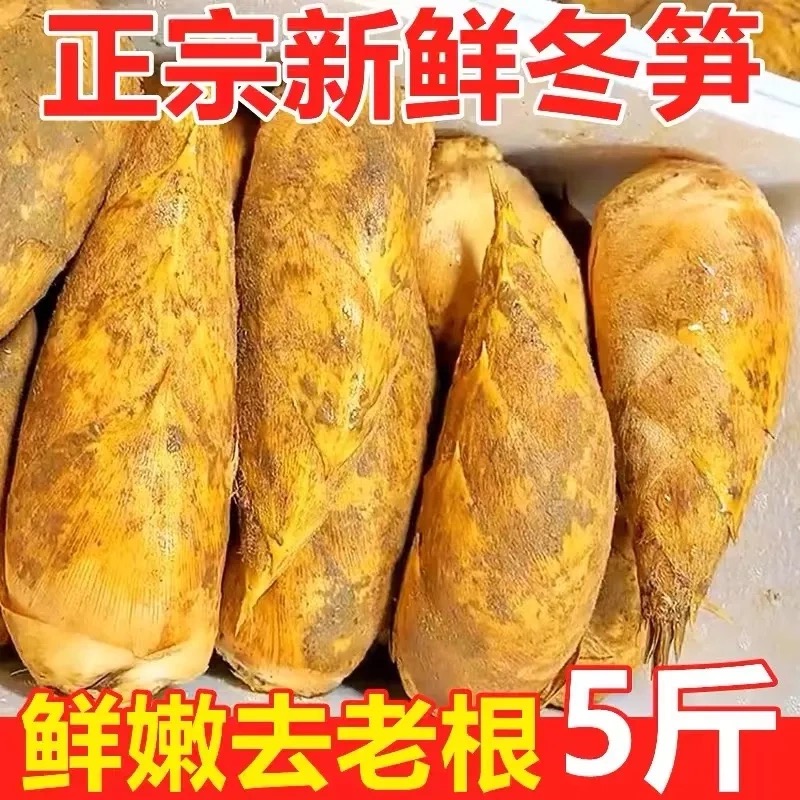 新鲜冬笋现挖竹笋5斤当季蔬菜苦笋雷笋腌笃鲜毛笋春甜笋整箱包邮5