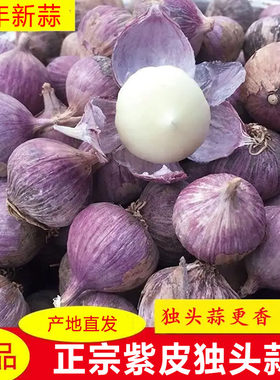 云南大理独头蒜紫皮大蒜干大蒜头红皮干蒜独蒜紫蒜新鲜蒜农家蒜