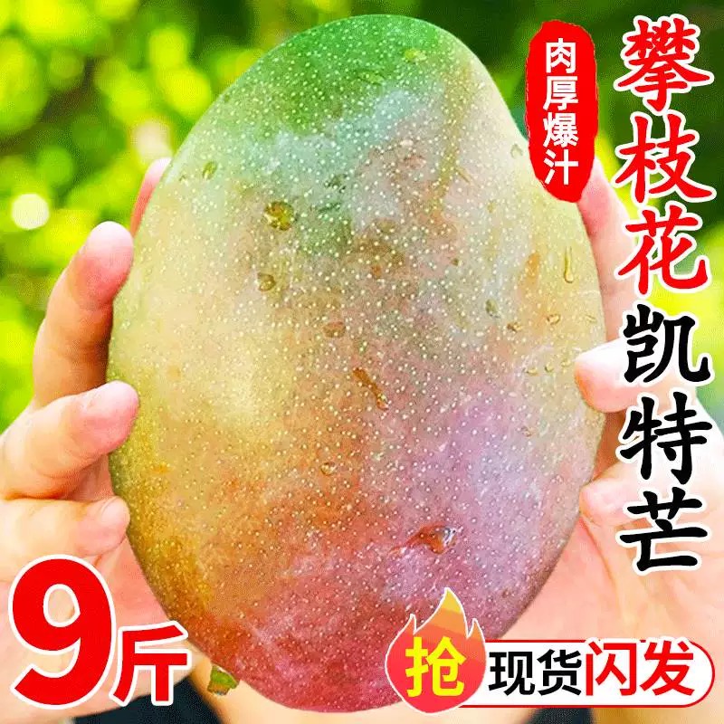 凯特芒果四川攀枝花大青皮
