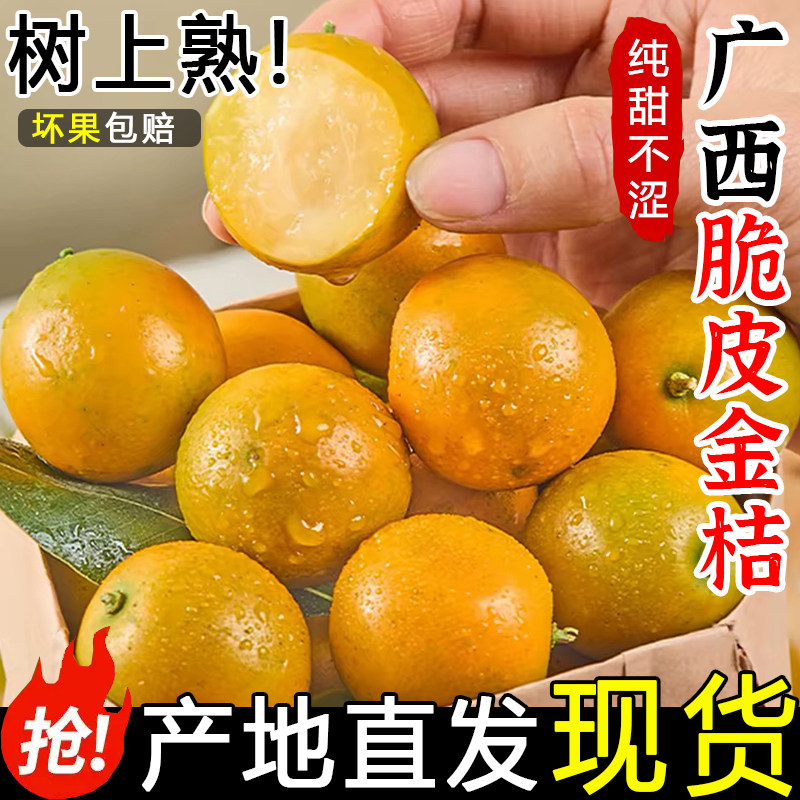 广西脆皮小金桔10新鲜桔子当季水果蜜金柑桔融安纯甜孕妇整箱5斤